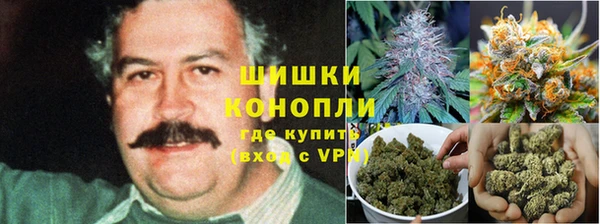 крисы Михайловка