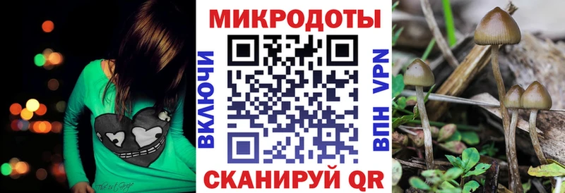 где продают наркотики  Ильский  KRAKEN рабочий сайт  Галлюциногенные грибы GOLDEN TEACHER 